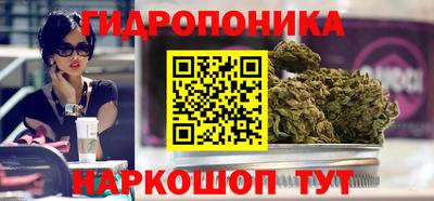 молекула духа Кандалакша