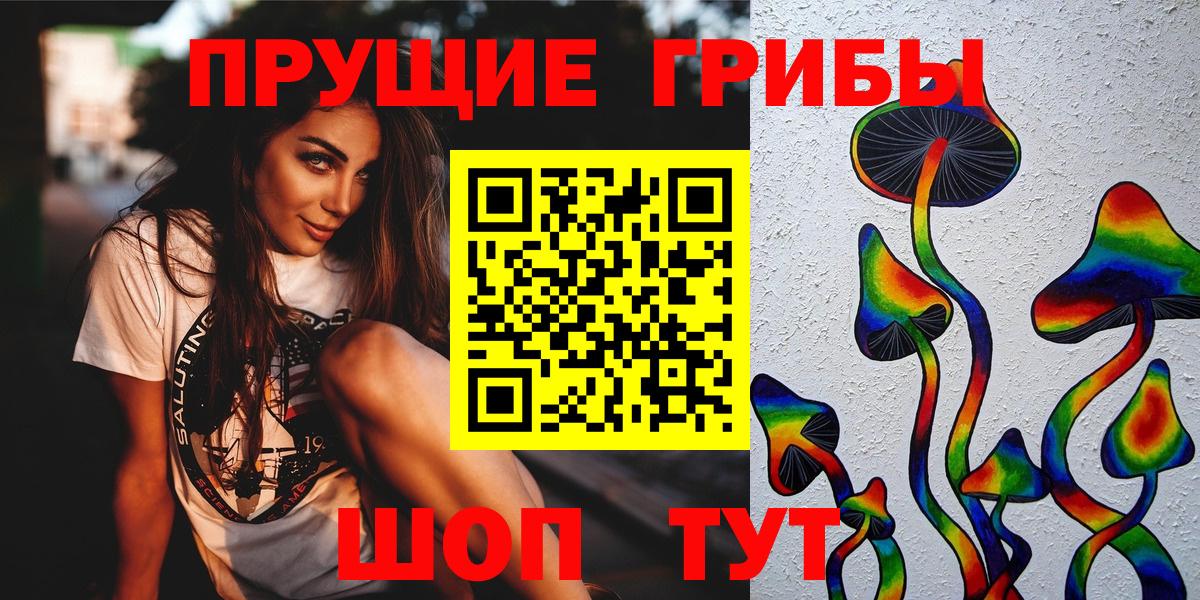 Галлюциногенные грибы MAGIC MUSHROOMS  Вход с VPN  Киселёвск 